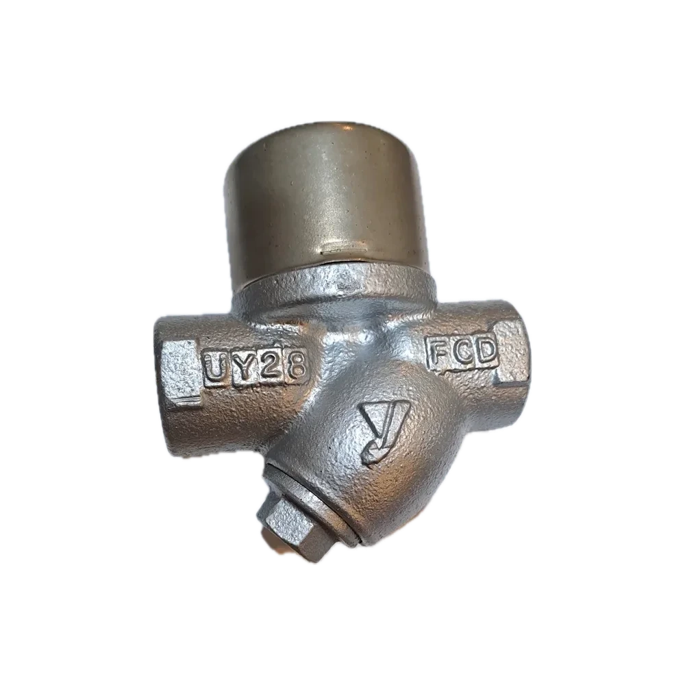 Steam Trap